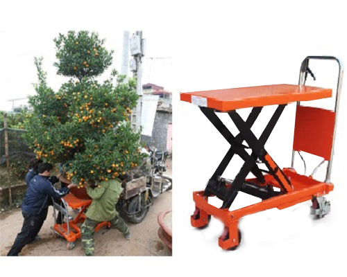 Xe nâng mặt bàn 500kg cao 900mm